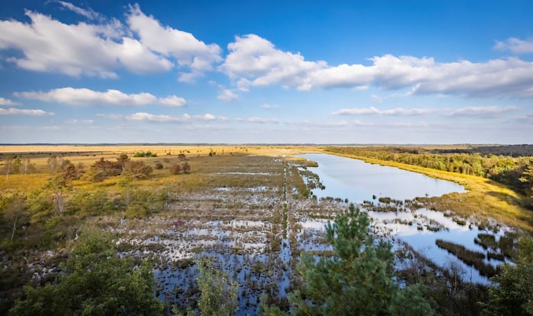 Fochteloërveen Natura2000 gebied