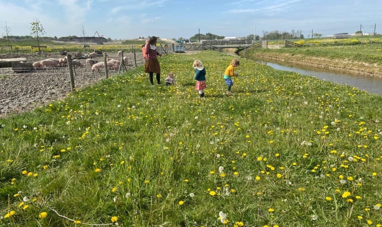 Herenboeren de Vlinderstrik
