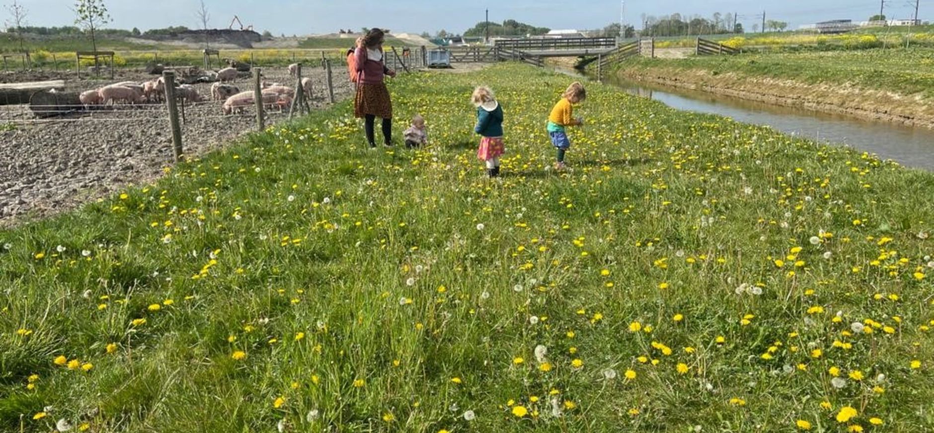Herenboeren de Vlinderstrik