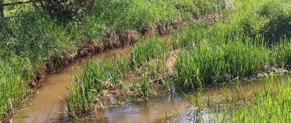 Keersop en Beekloop