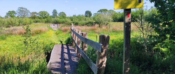 Ganzenbroek bruggetje Beekloop
