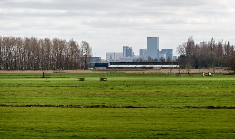 Polder bij Rotterdam