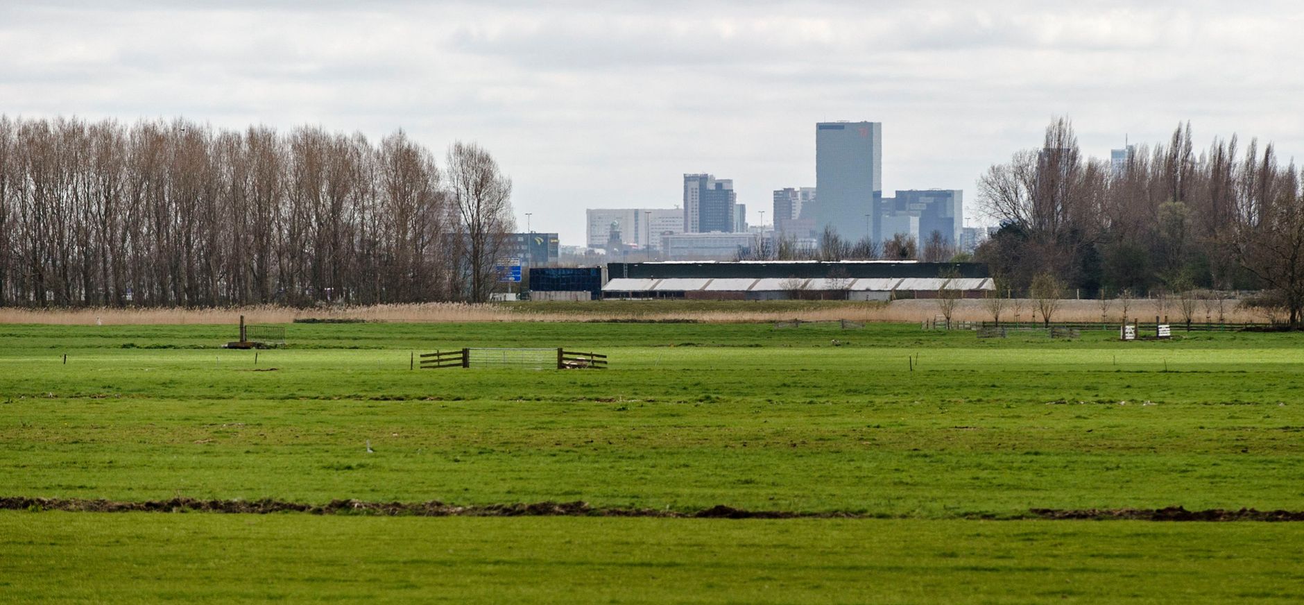 Polder bij Rotterdam