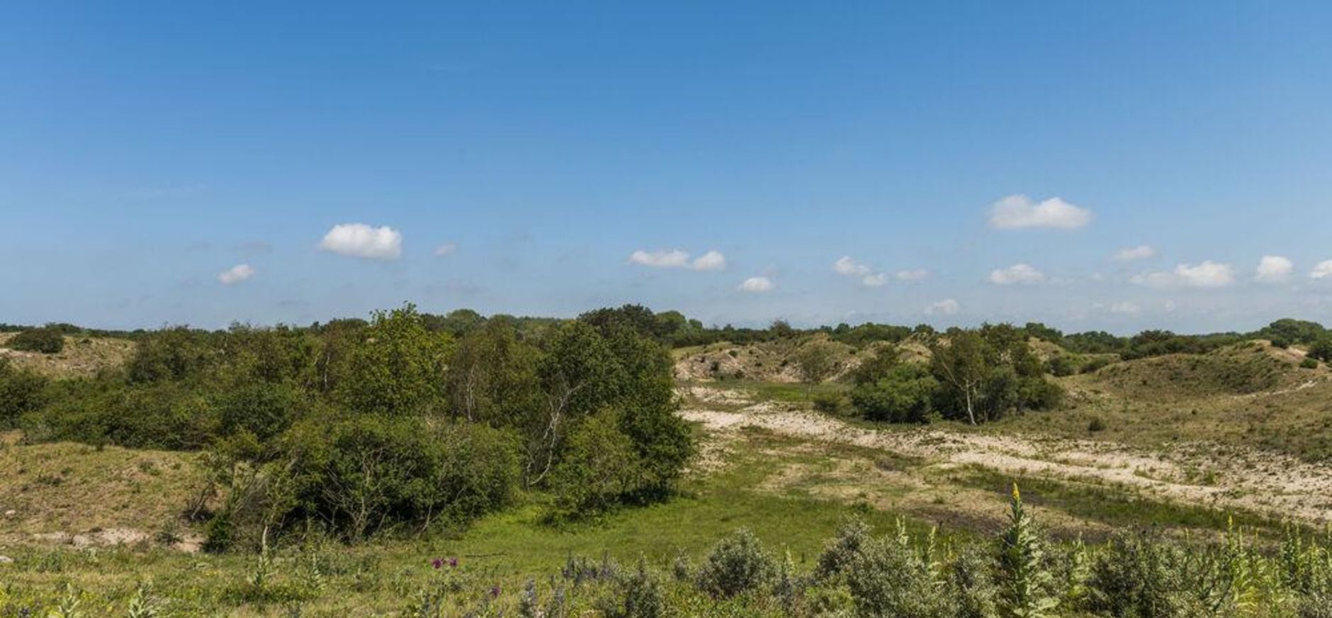 Voornes Duin