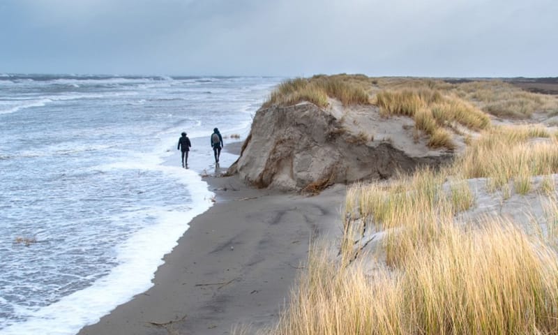 Wandelen tussen zee en duinen