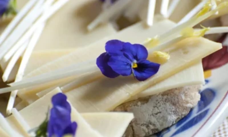 Lunch in Fort Kijkuit