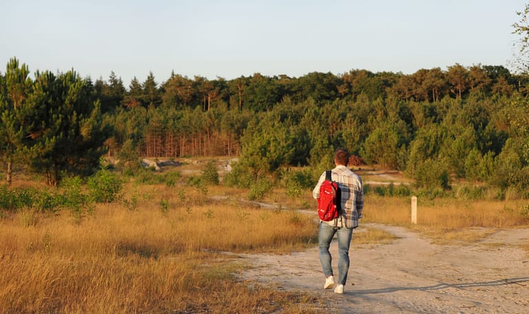 Uitzicht Meiduinen mozaieklandschap