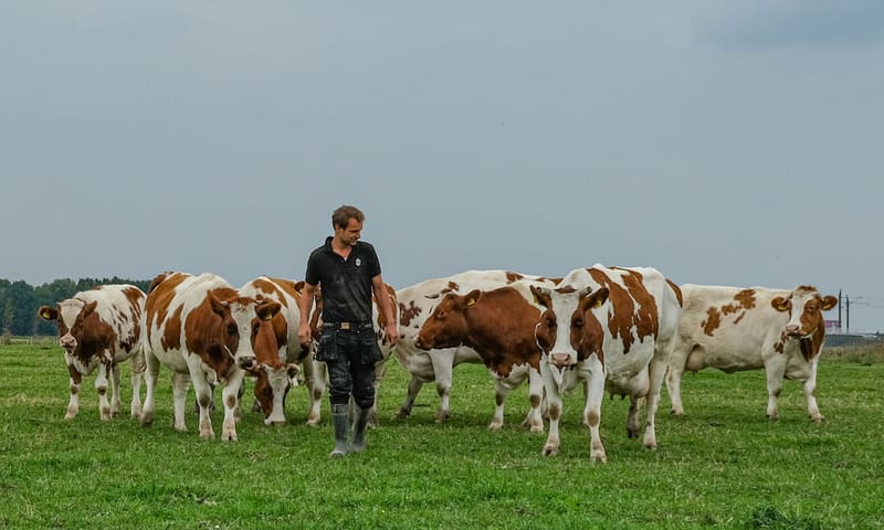Herenboeren De Vlinderstrik Albert Boersen