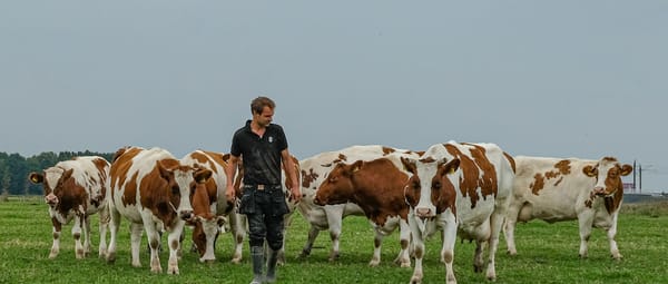 Herenboeren De Vlinderstrik Albert Boersen