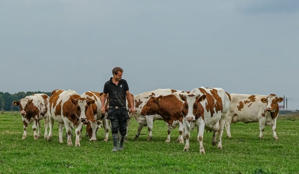 Herenboeren De Vlinderstrik Albert Boersen