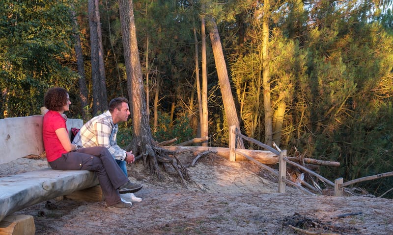 Bankje Meiduinen