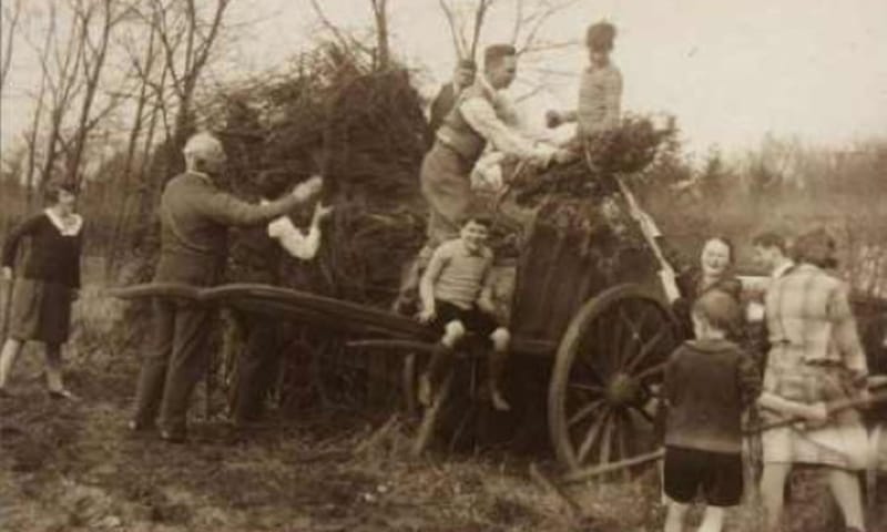 Houtproductie op landgoed Groevenbeek