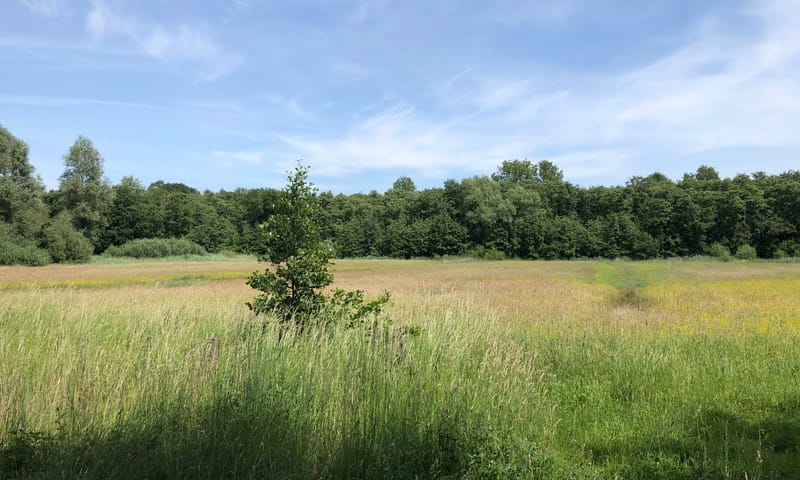 hooilandje grote kouseykweg