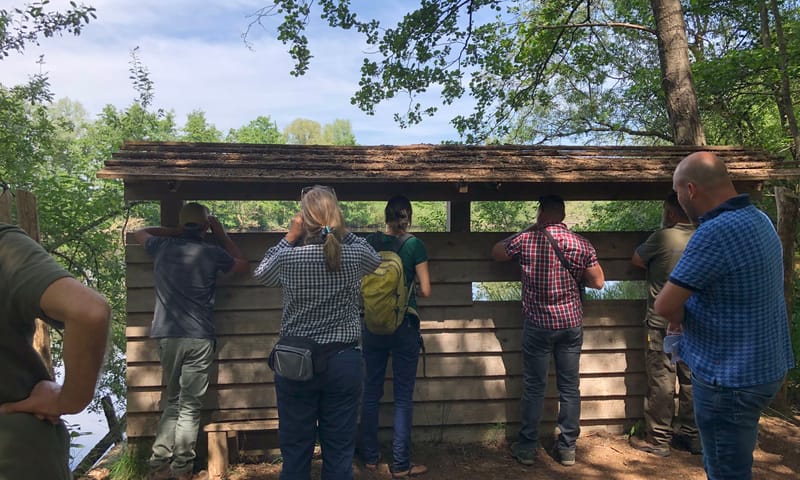 vogelkijkscherm Roukespeel
