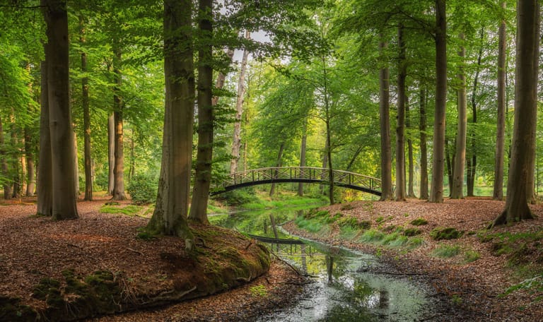 Parkbos landgoed Voorstonden