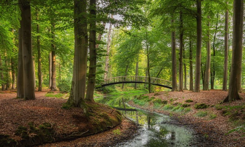 Parkbos landgoed Voorstonden