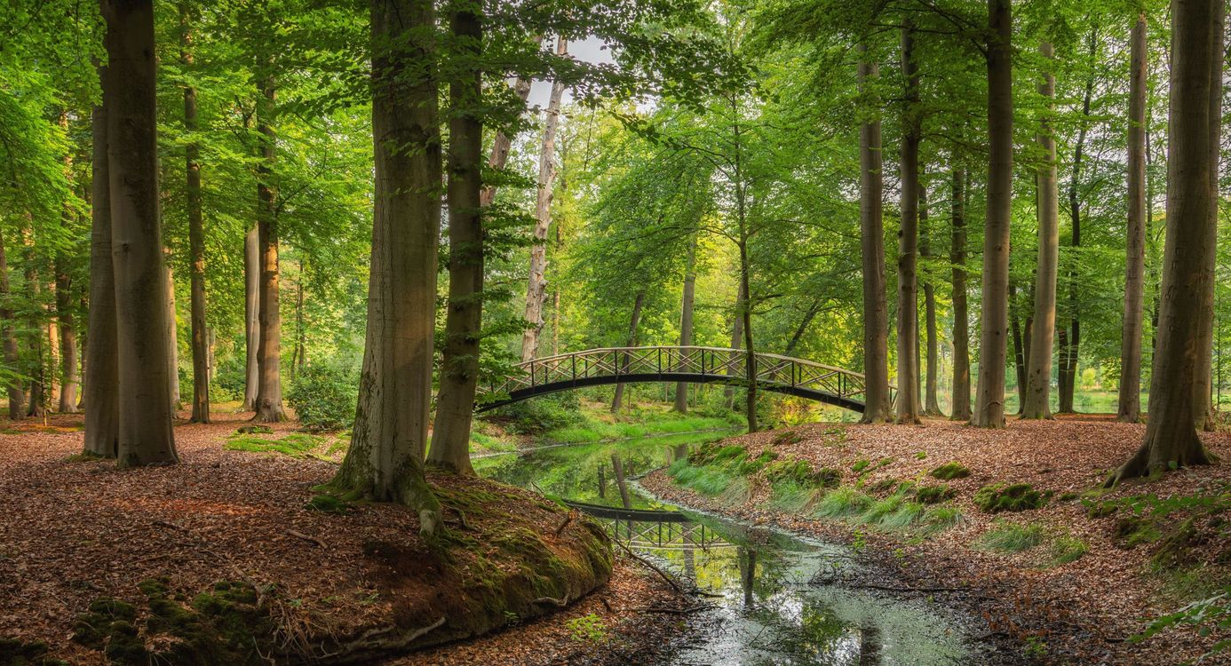 Parkbos landgoed Voorstonden