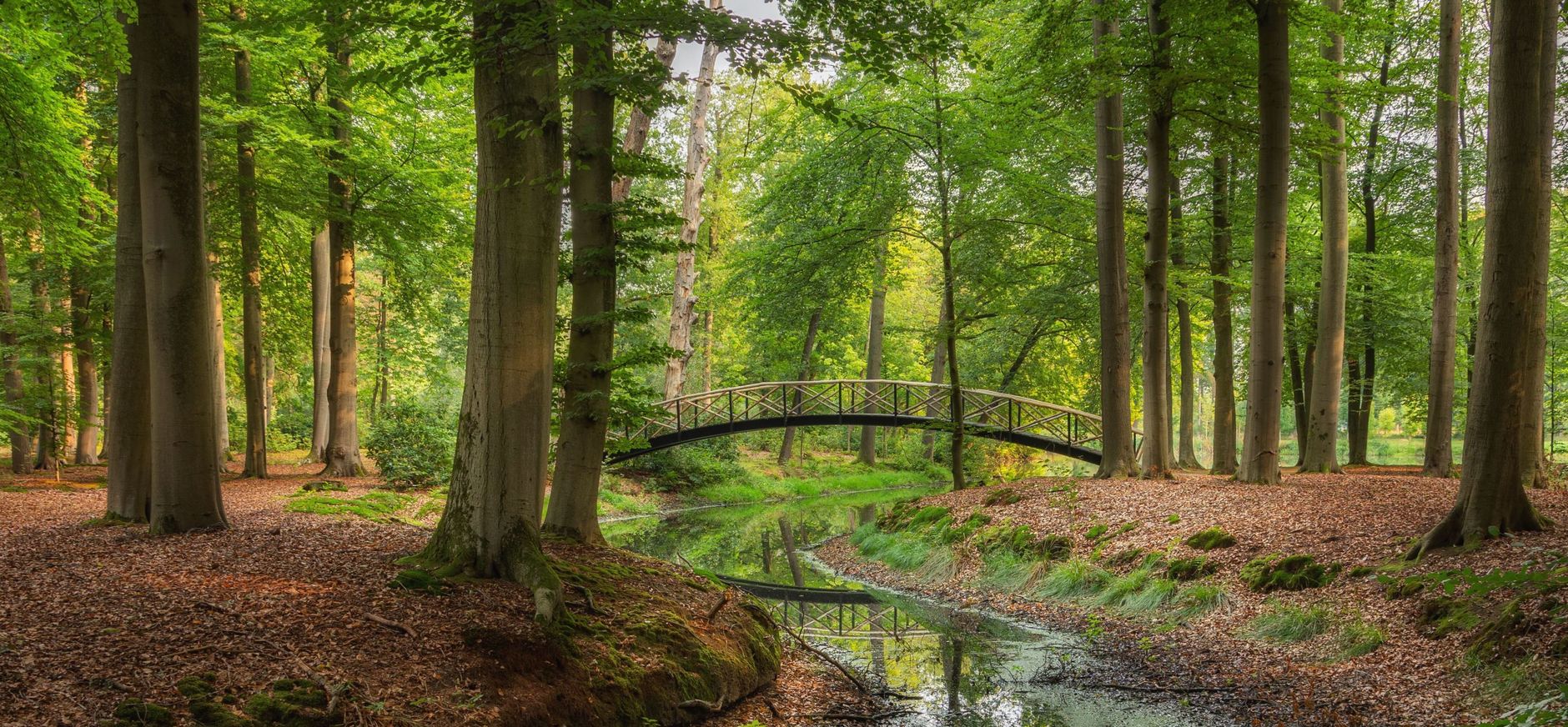 Parkbos landgoed Voorstonden