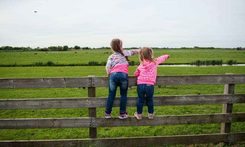 Polderpad Rotterdams platteland