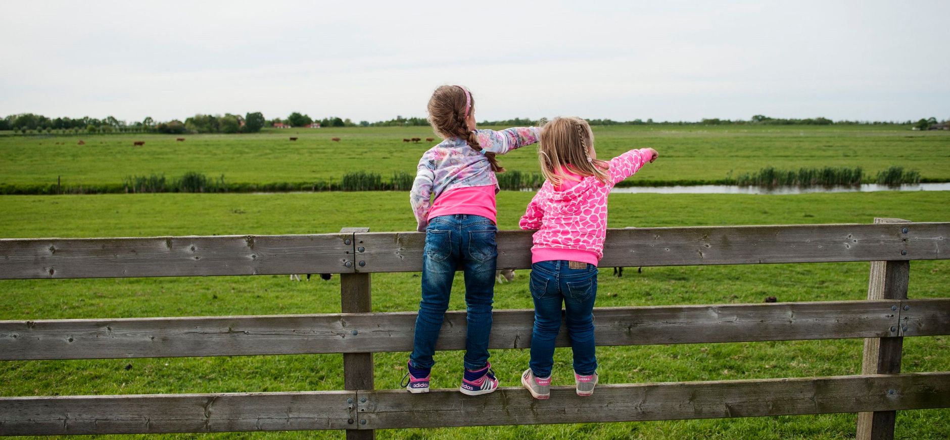 Polderpad Rotterdams platteland