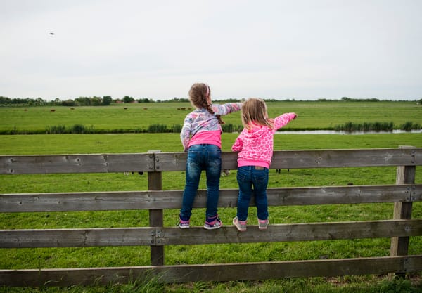 Polderpad Rotterdams platteland