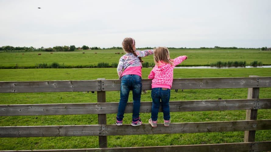 Polderpad Rotterdams platteland