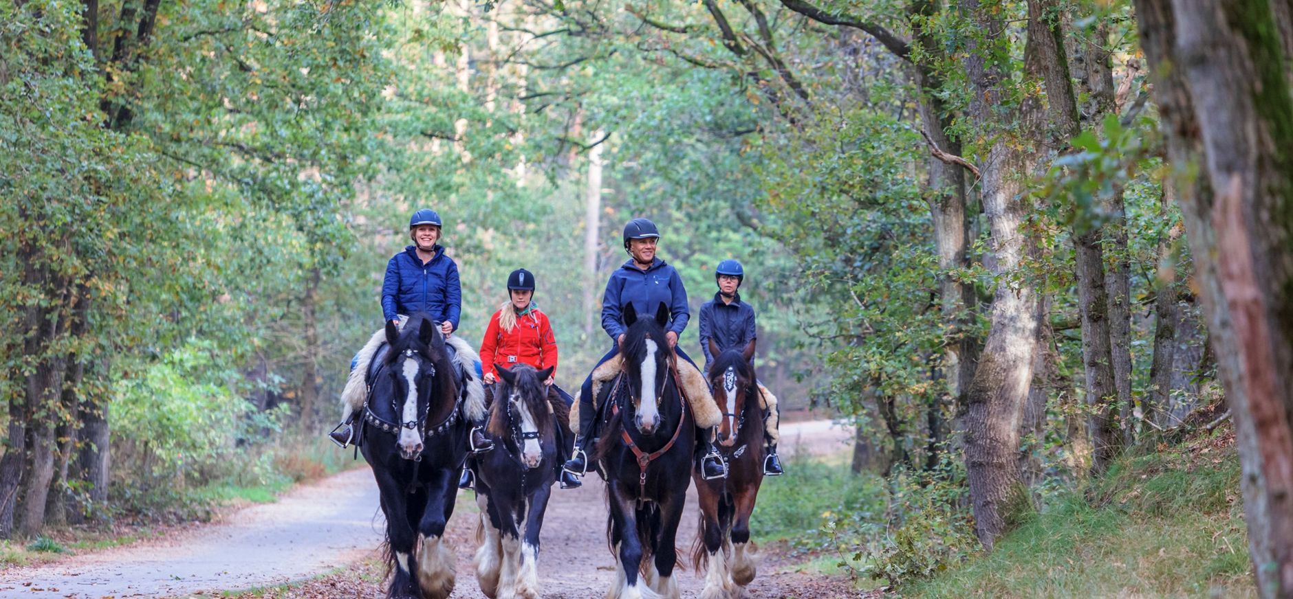 Paardrijden Loonse en Drunense Duinen, ruiterlabel nodig