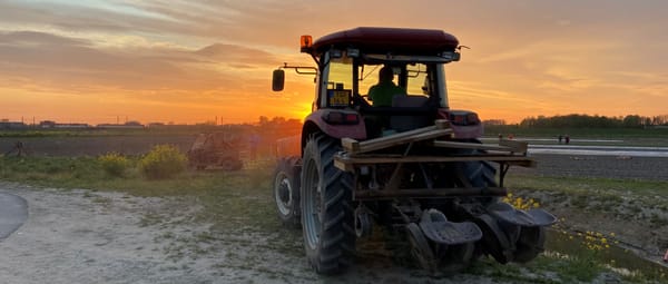 Trekker Schiebroekse Polder