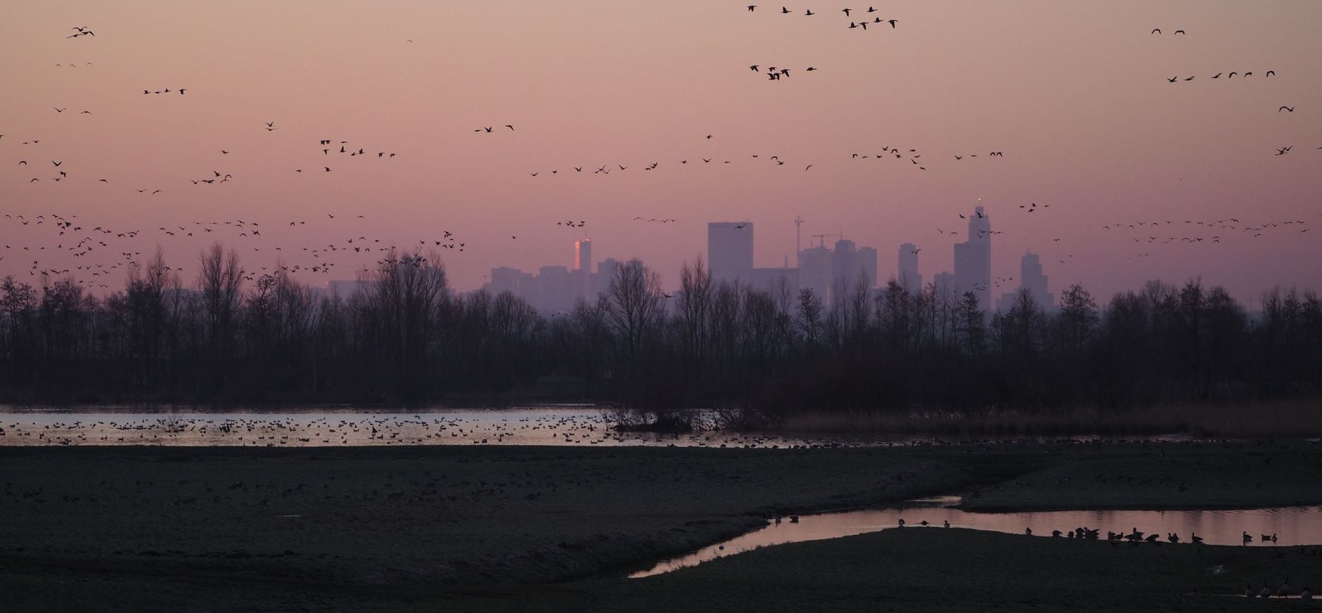 Winter Ackerdijkse Plassen