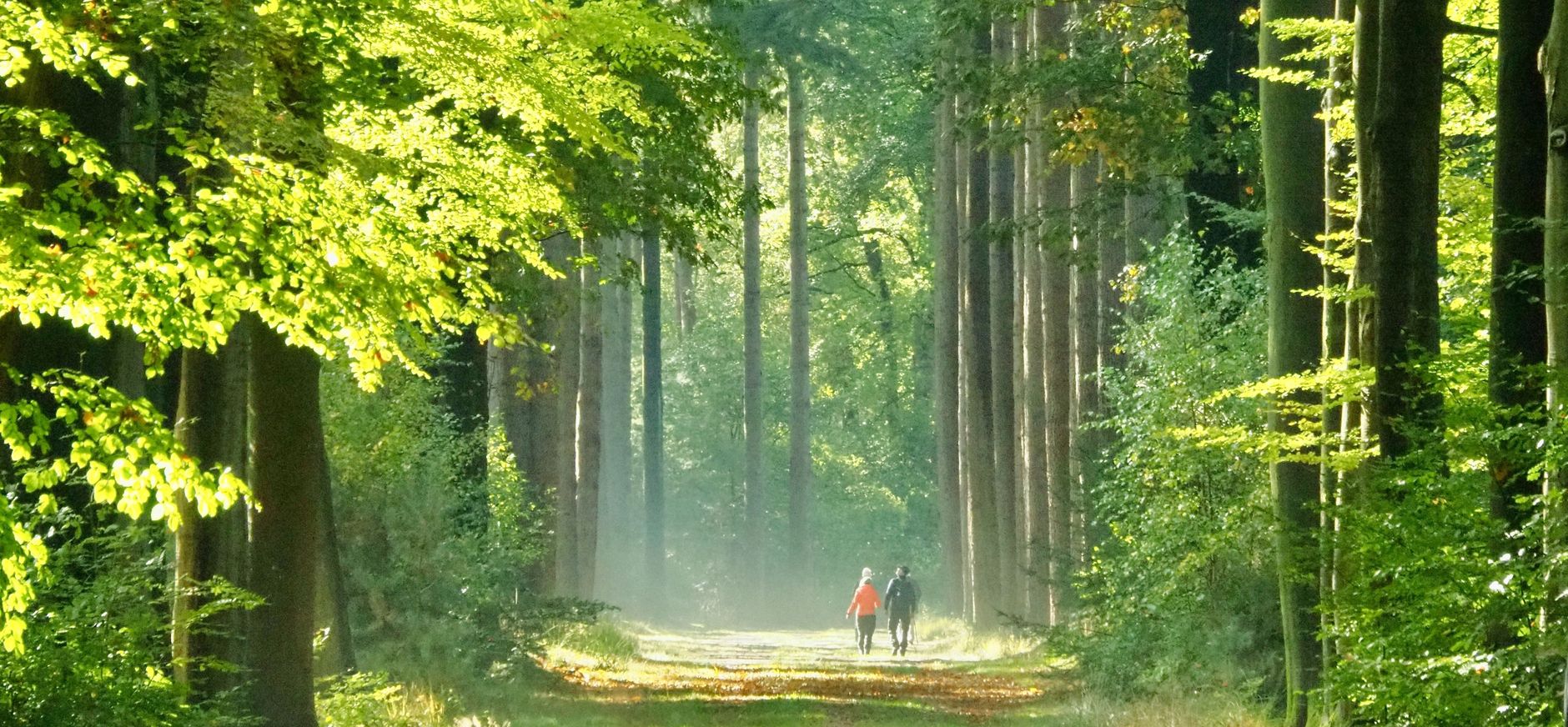 laan Velhorst
