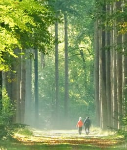 laan Velhorst