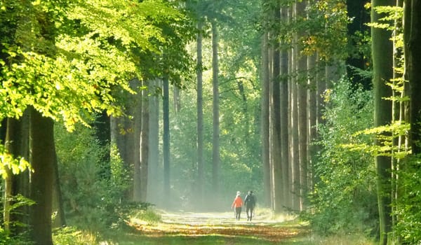 laan Velhorst