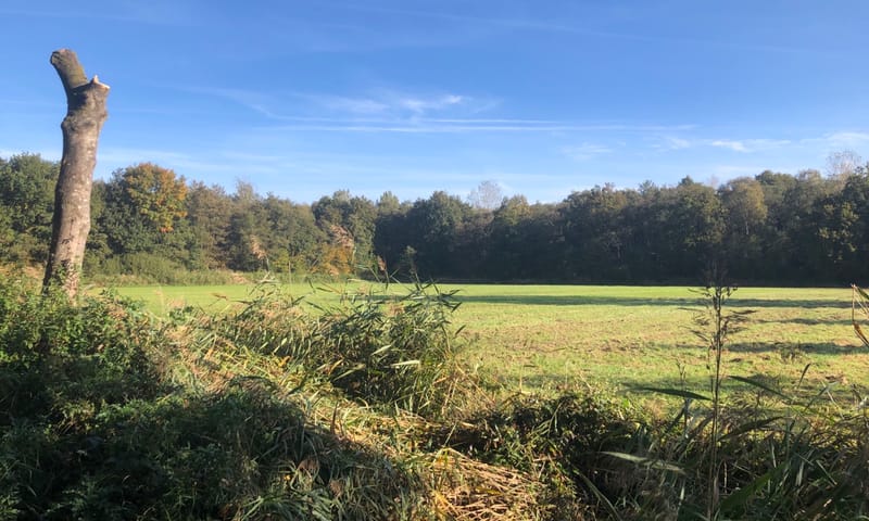 hooilandje Grote Kouseyweg
