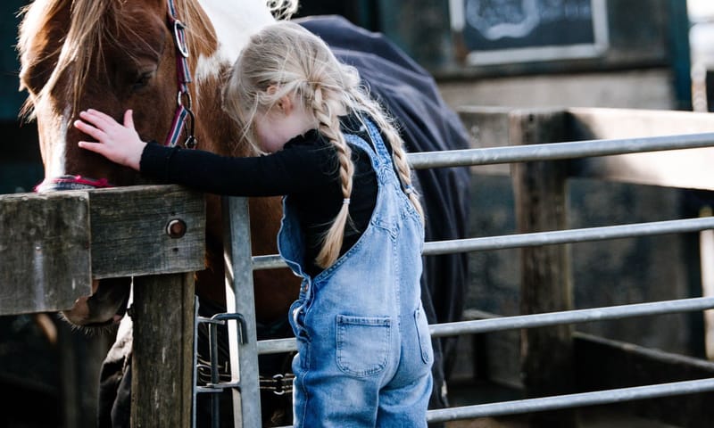 Belevenisboerderij