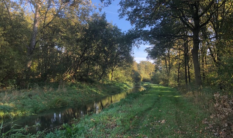 de krang - roukespeel bij dijkerpeel 