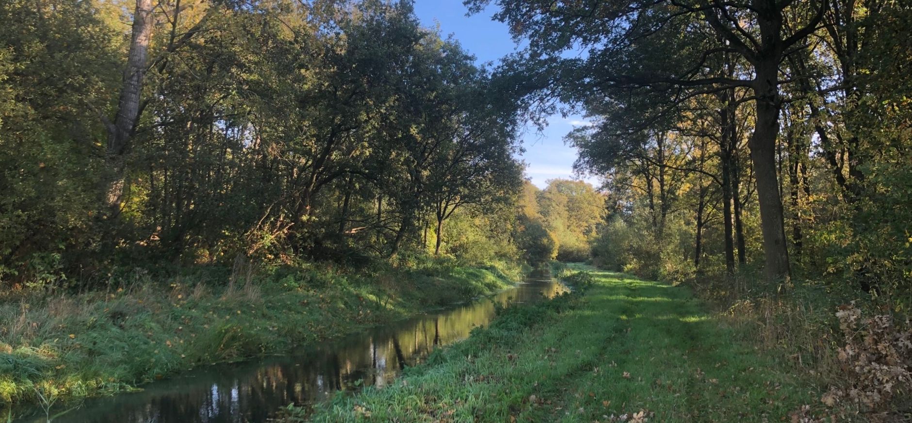 de krang - roukespeel bij dijkerpeel 