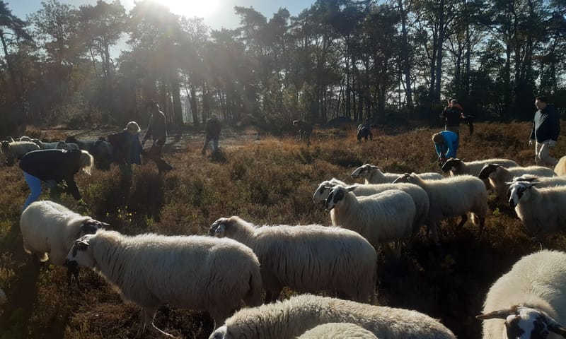 Natuurwerkdag  Beekvliet 2022