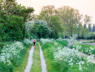 Hardlooproute Bloemdijken