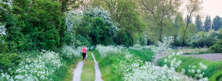Hardlooproute Bloemdijken