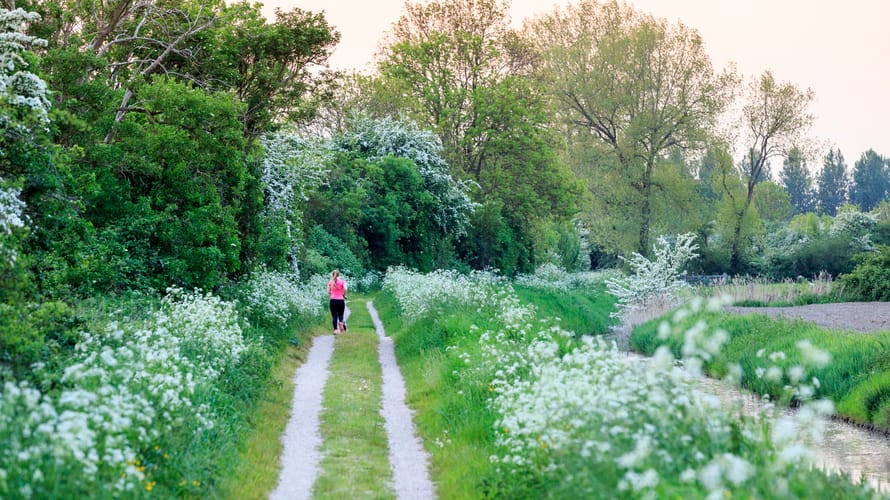 Hardlooproute Bloemdijken