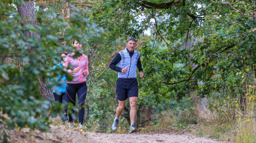 Hardlooproute Fellenoord