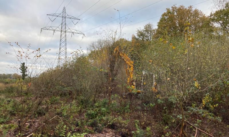 struikgewas perceel zandstraat