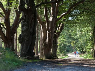 Landgoed de Slotplaats
