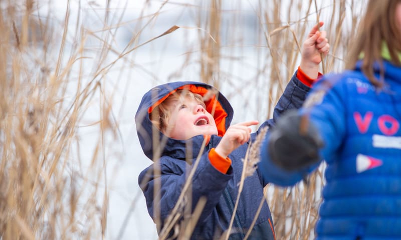 Wandelroute met kinderen Marker Wadden