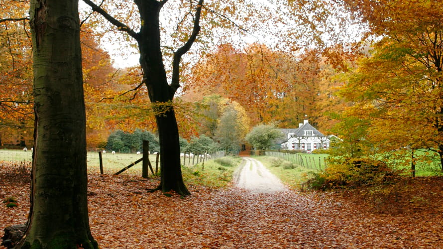 Route Carolinahoeve