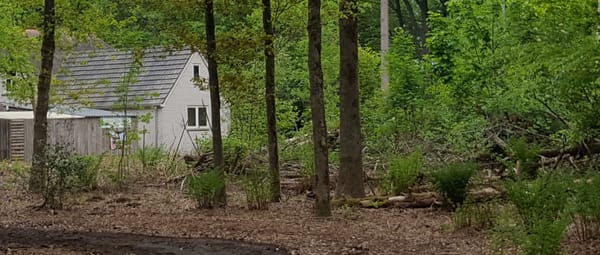 Voormalige boswachterswoning