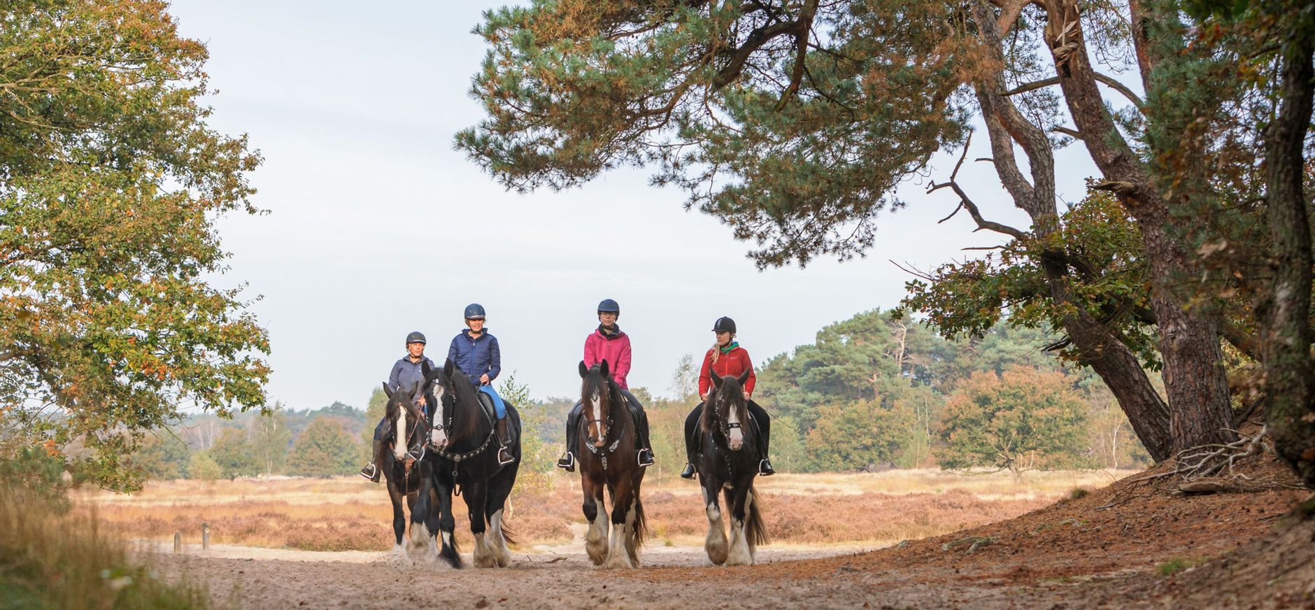 Algemene voorwaarden ruiterlabel en ruiter-dagpas consument