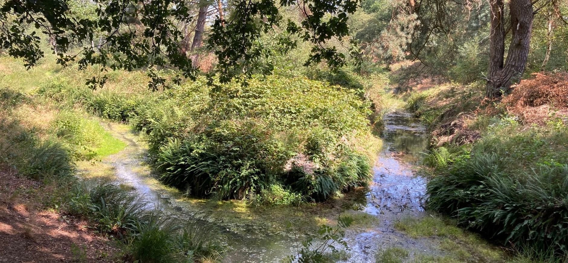Recreatiezonering in natuurgebied Wolfheze