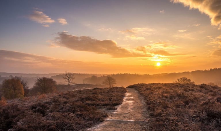 Recreatiezonering op de Veluwe om de natuur te beleven en te beschermen