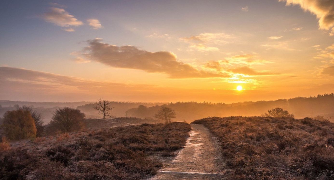 Recreatiezonering op de Veluwe om de natuur te beleven en te beschermen